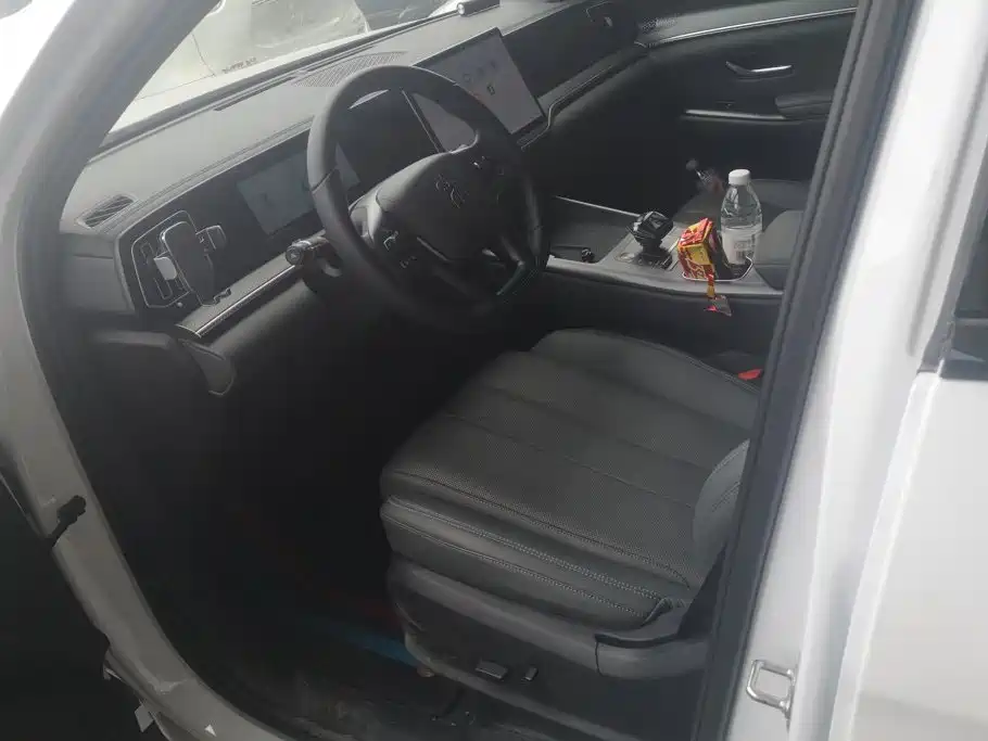 BYD Song Pro Pro 2025 DM-i 75KM Lead