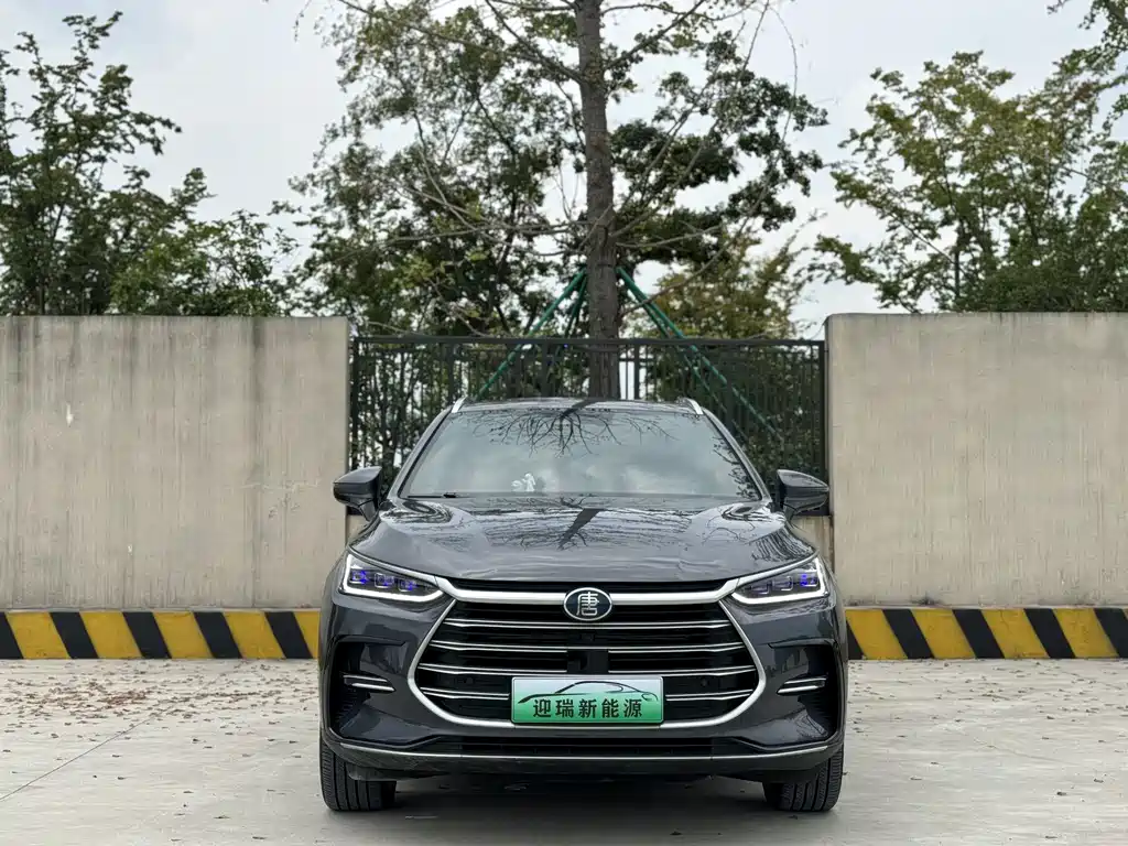 BYD Tang New Energy — миниатюра 7