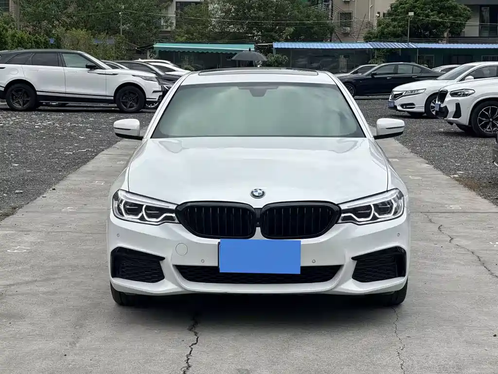 BMW 5 Series 5 2020 530Li Premium M Sport