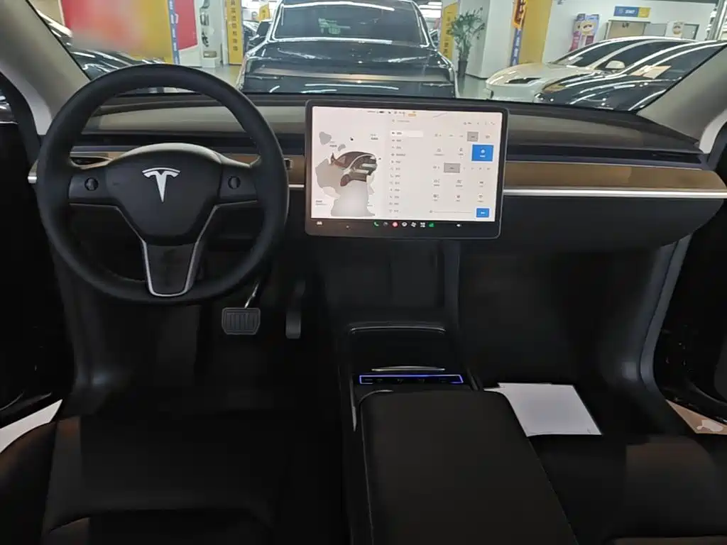 Tesla Model Y — миниатюра 10
