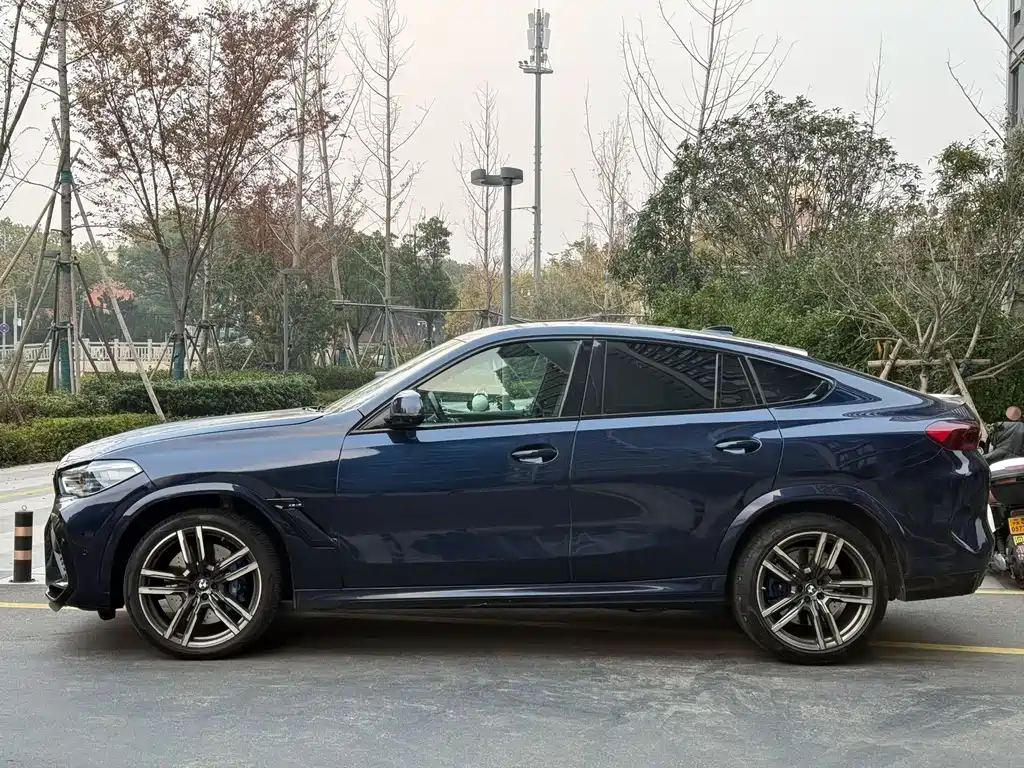 BMW X6 M — миниатюра 2