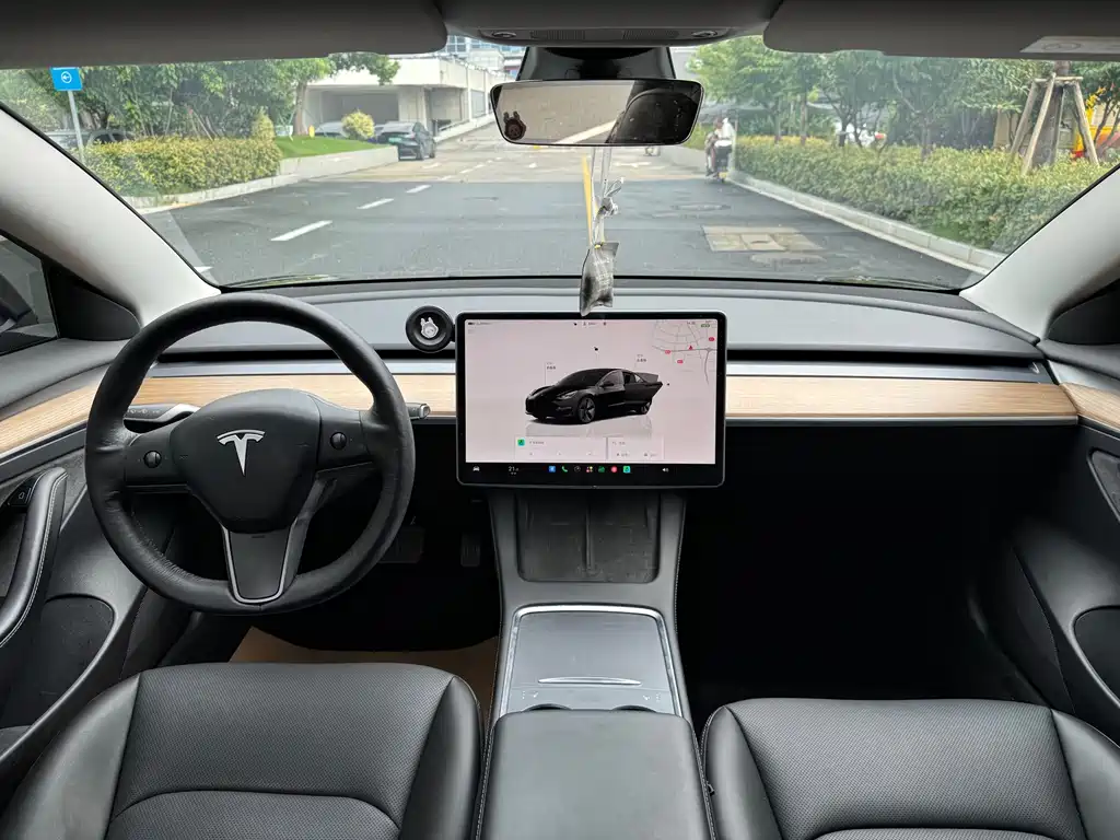 Tesla Model 3 — миниатюра 17