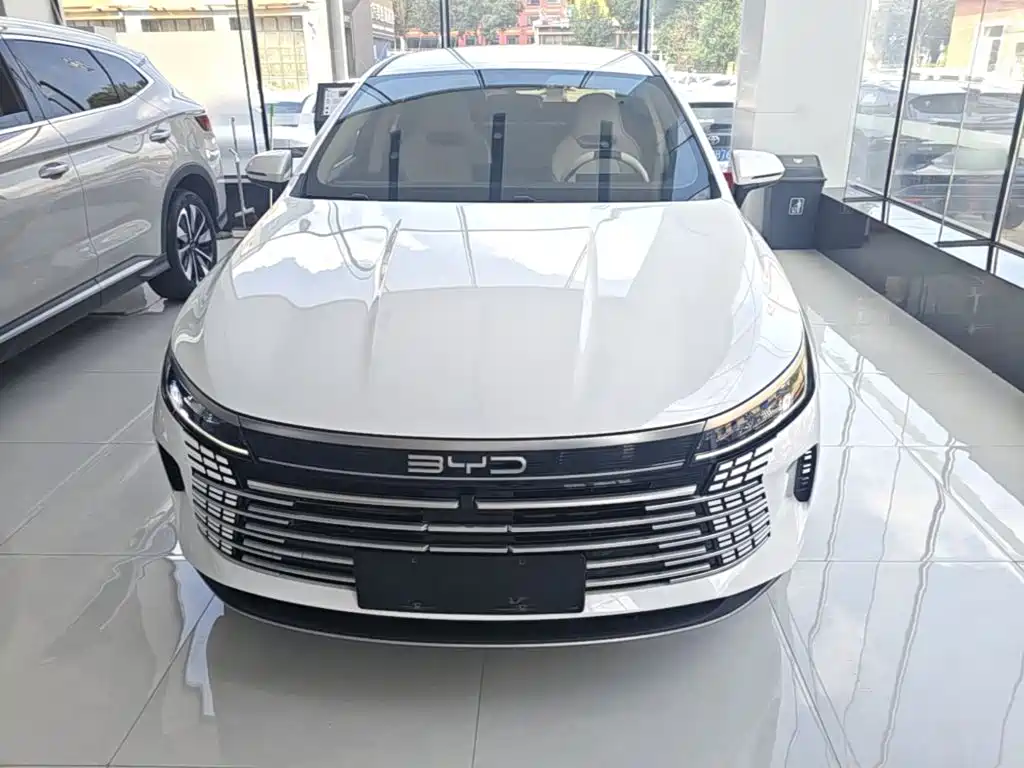 BYD Destroyer 05 — миниатюра 3