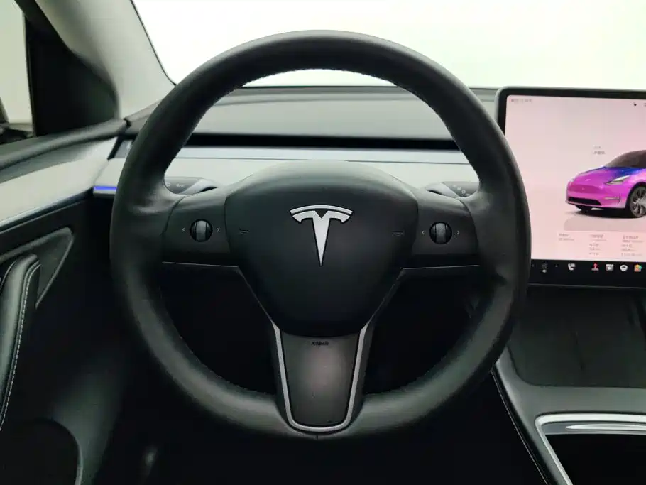 Tesla Model Y — миниатюра 15