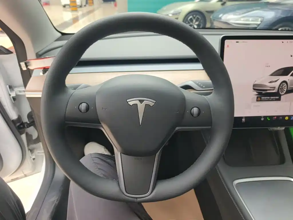 Tesla Model 3 — миниатюра 11
