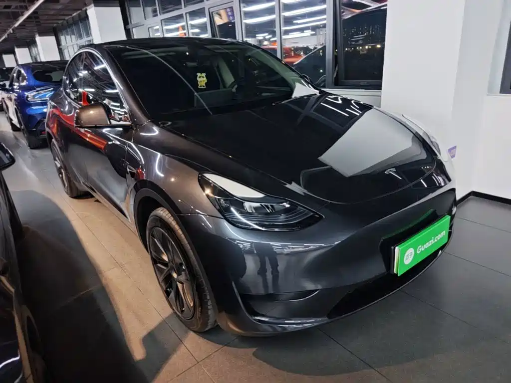 Tesla Model Y — миниатюра 4