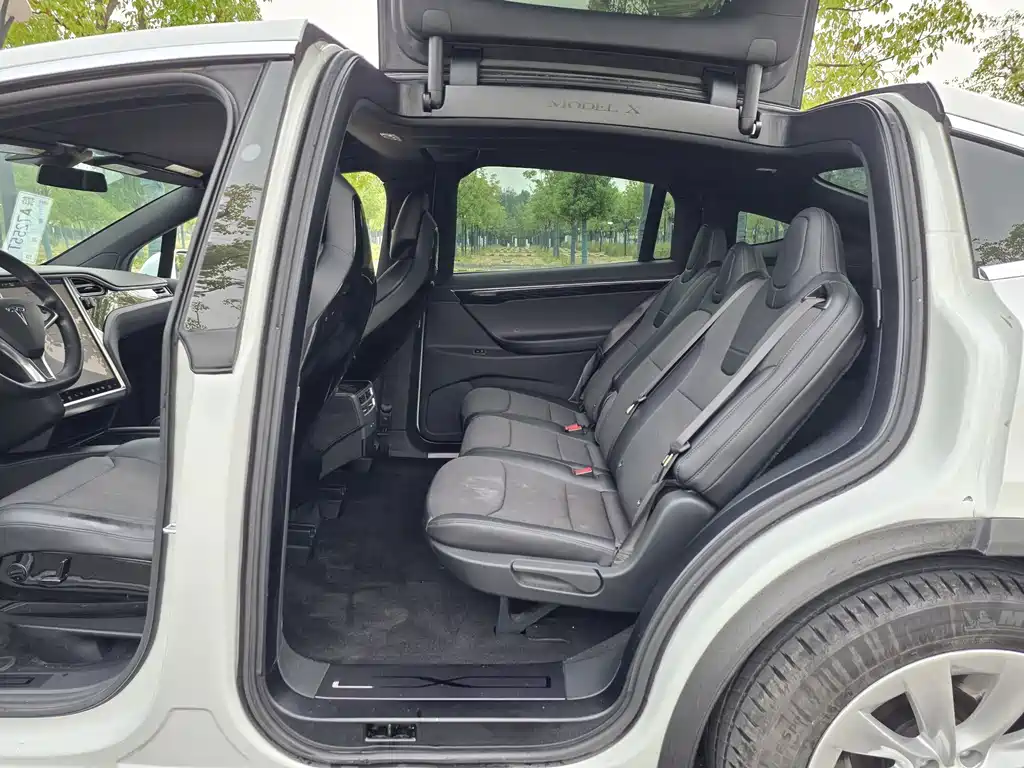 Tesla Model X — миниатюра 10