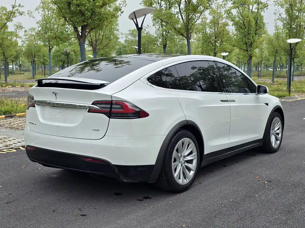Tesla Model X — миниатюра 4