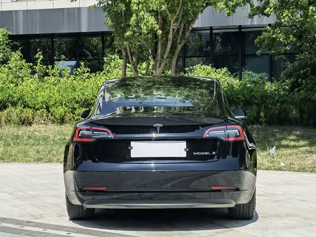 Tesla Model 3 — миниатюра 5