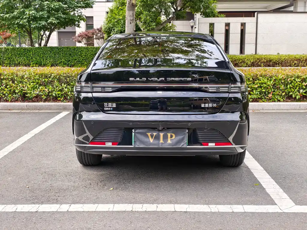 BYD Destroyer 05 2024 DM-i 55KM Luxury