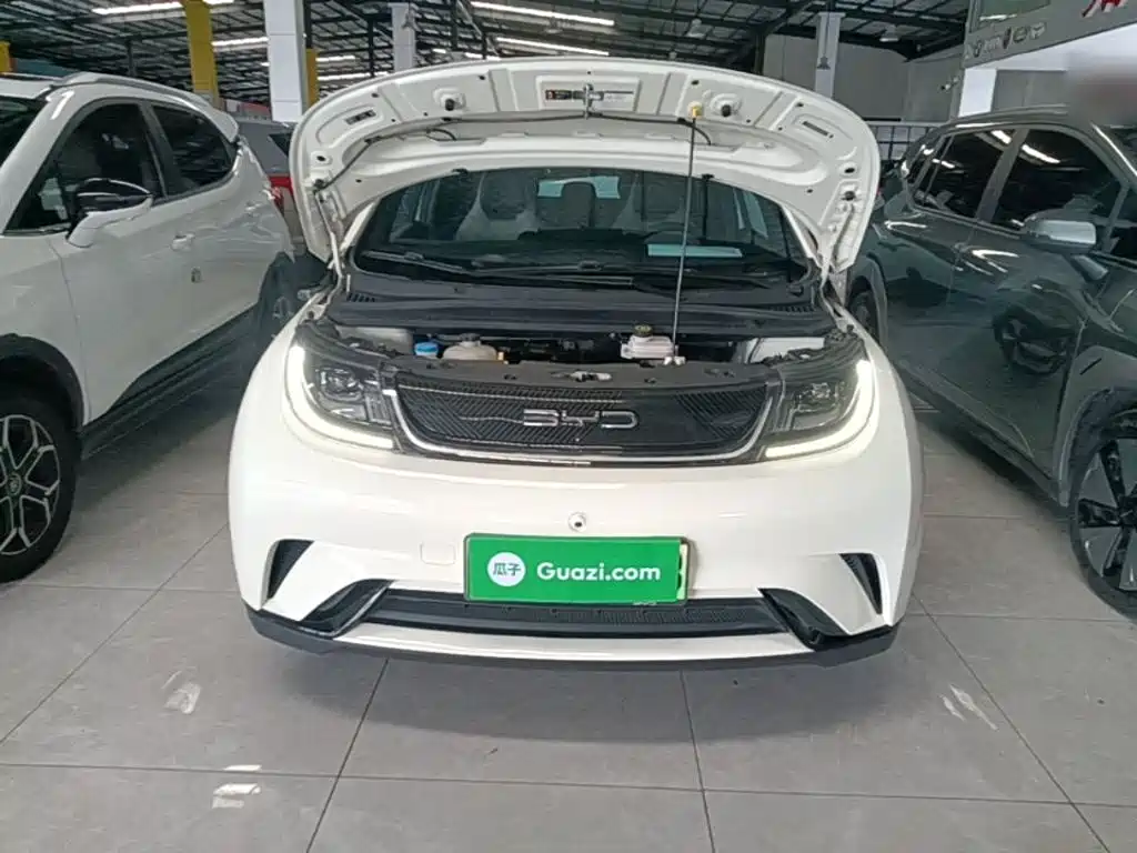 BYD Dolphin — миниатюра 20