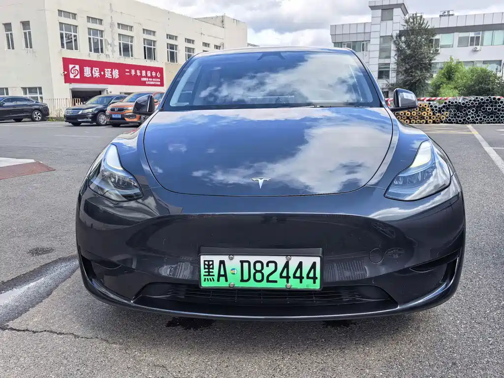 Tesla Model Y — миниатюра 2