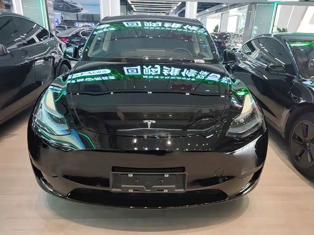 Tesla Model Y — миниатюра 3