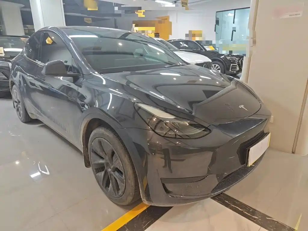 Tesla Model Y — миниатюра 4