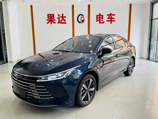 BYD DESTROYER 05 2024