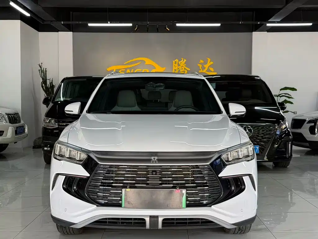 BYD Pro New Energy — миниатюра 2