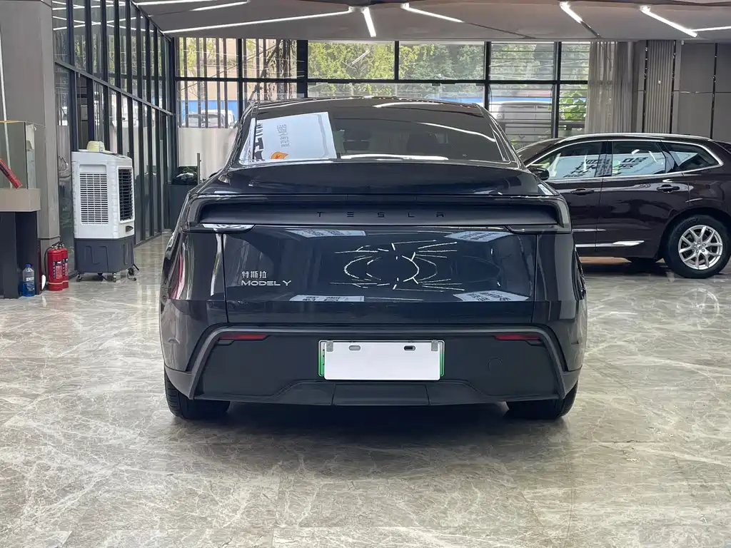 Tesla Model Y — миниатюра 6