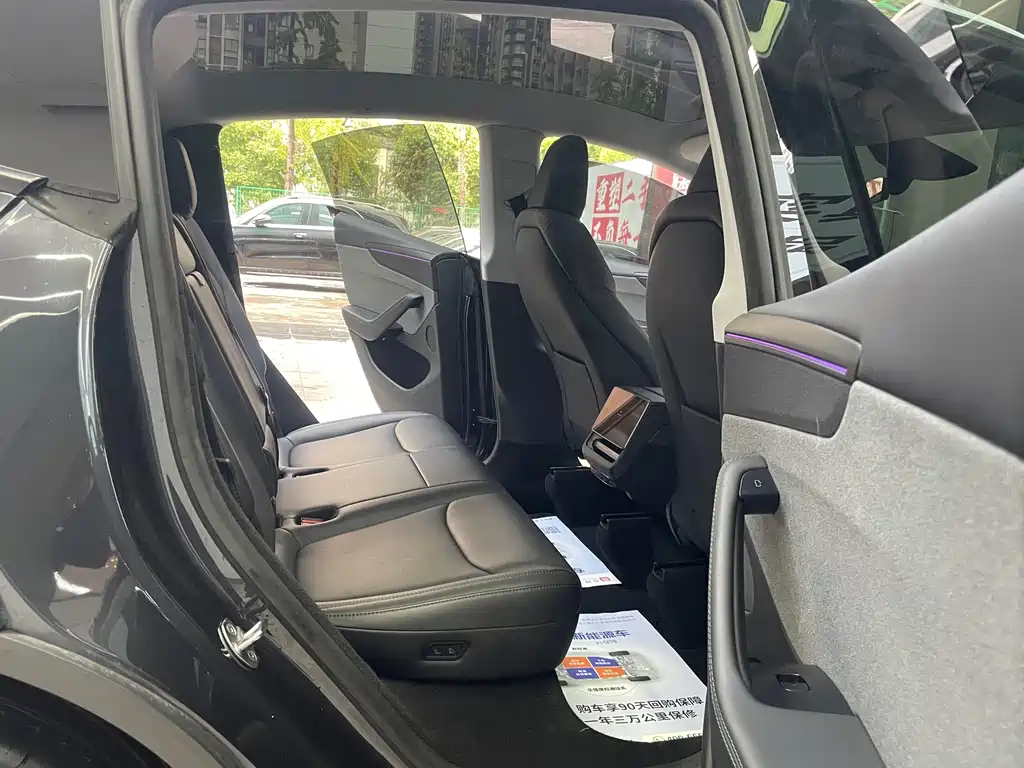Tesla Model Y — миниатюра 19