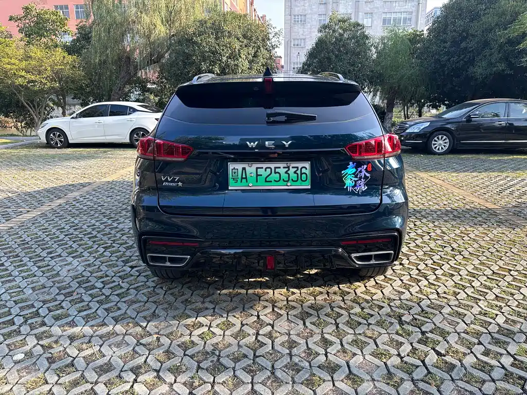 Wey Wey VV7 New Energy — миниатюра 21