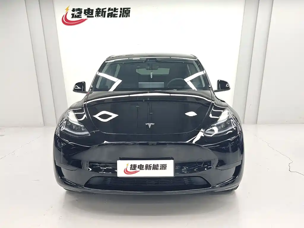 Tesla Model Y — миниатюра 3