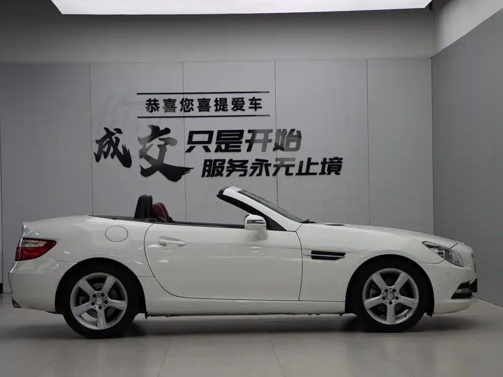 Mercedes-Benz SLK-Class — миниатюра 8