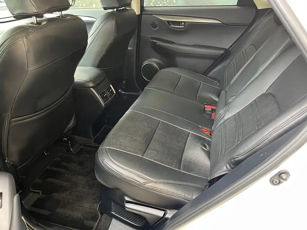 Lexus NX — миниатюра 10