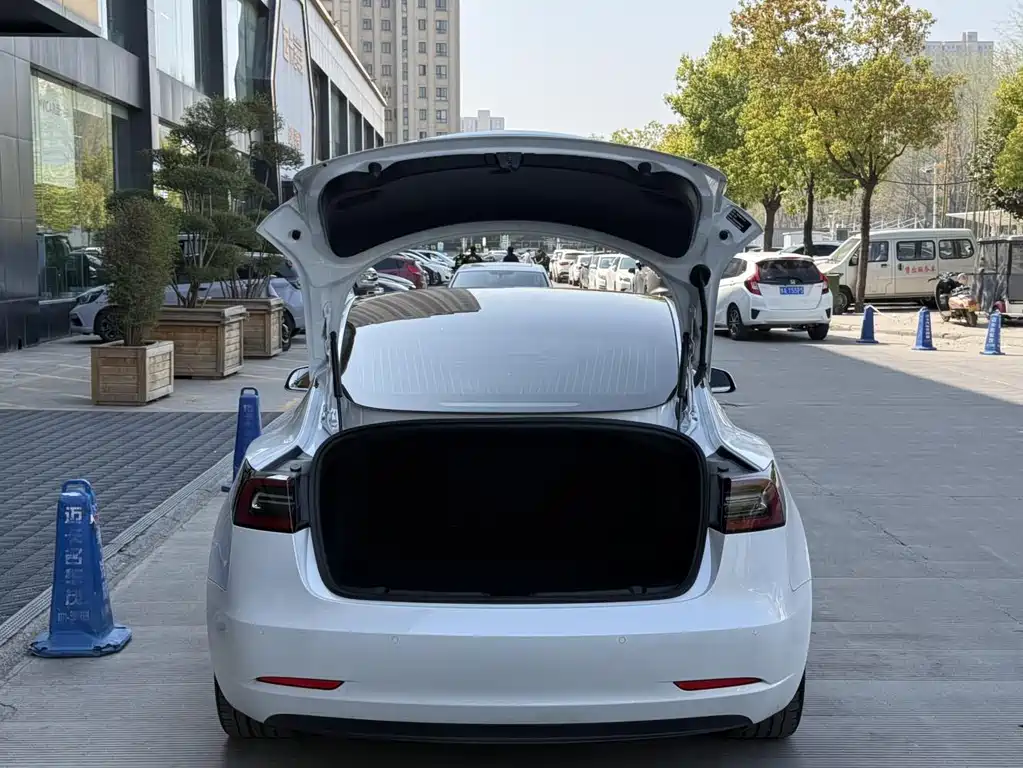 Tesla Model 3 — миниатюра 12