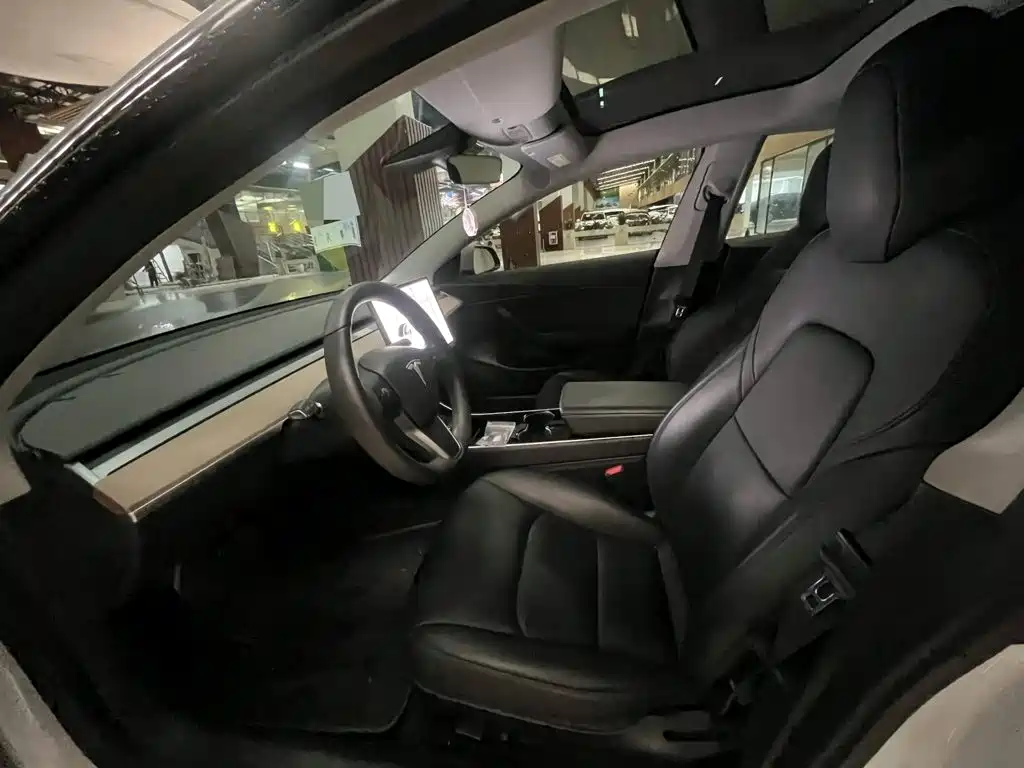 Tesla Model 3 — миниатюра 4