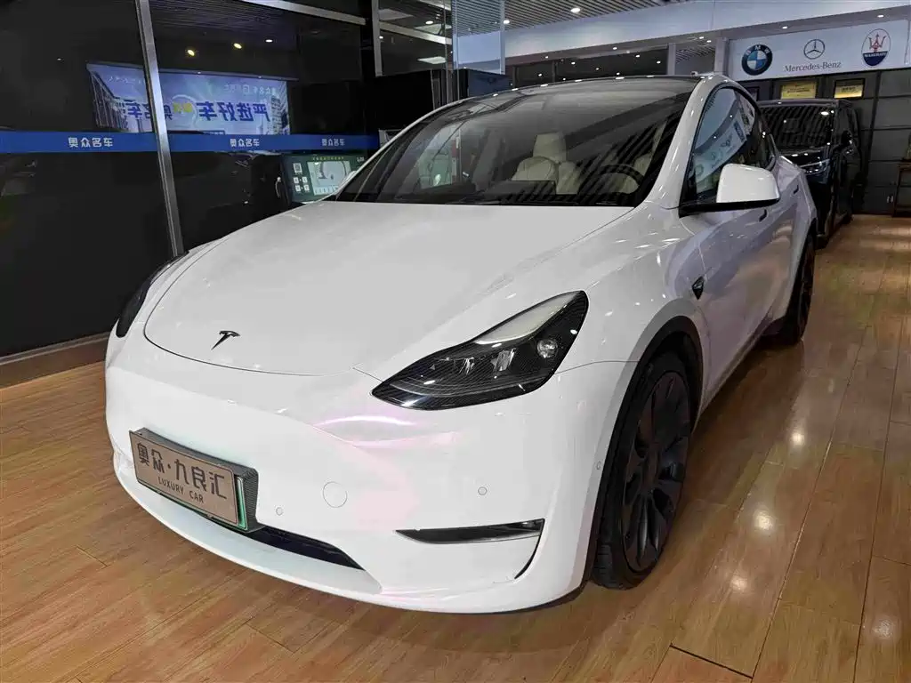 Tesla Model Y — миниатюра 3