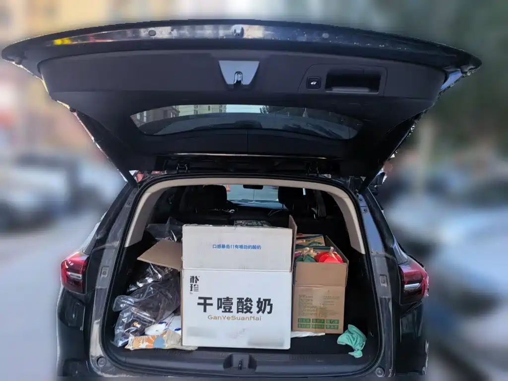 Buick Envision Plus — миниатюра 15
