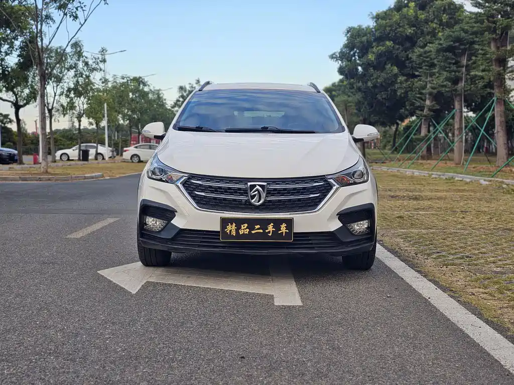 BAOJUN 310W