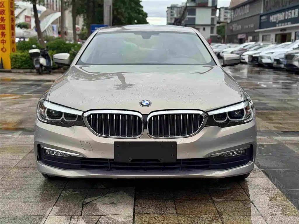 BMW 5 Series 5 2018 528Li