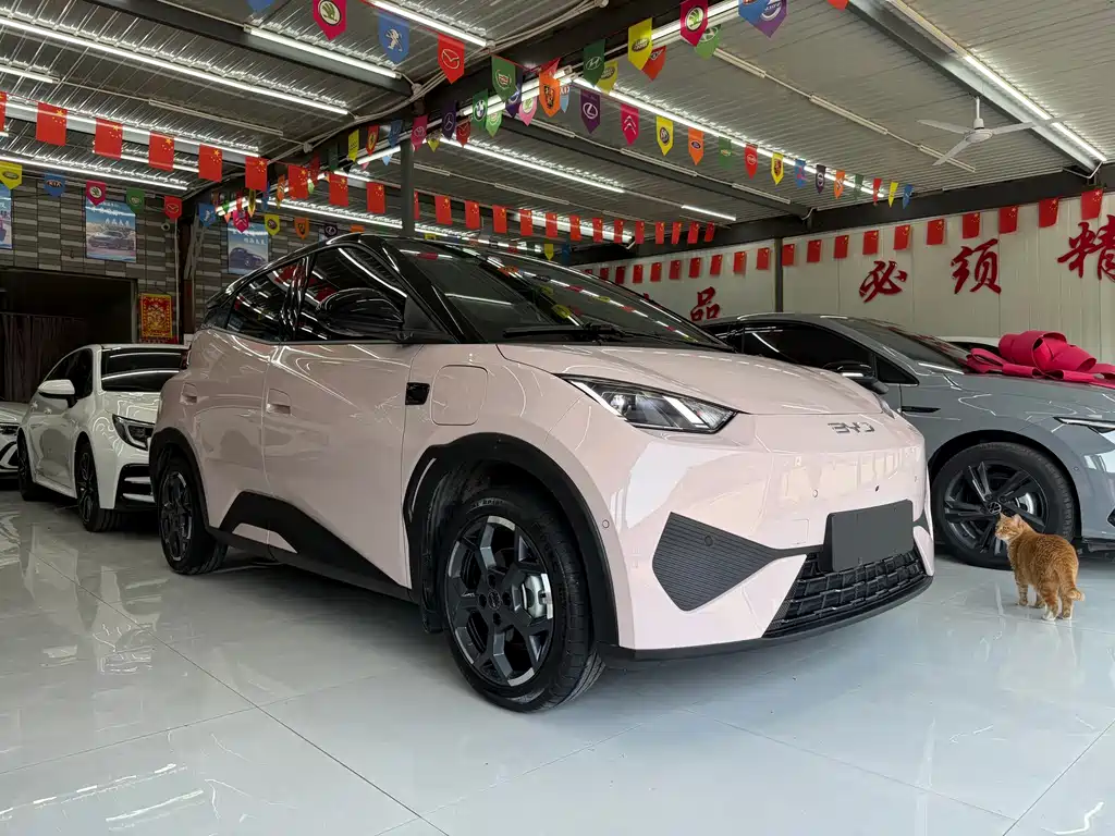 BYD Seagull — миниатюра 4
