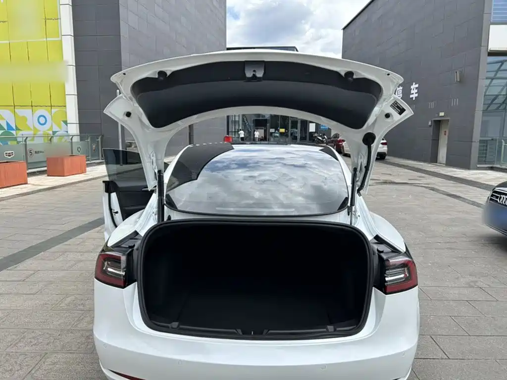 Tesla Model 3 — миниатюра 16