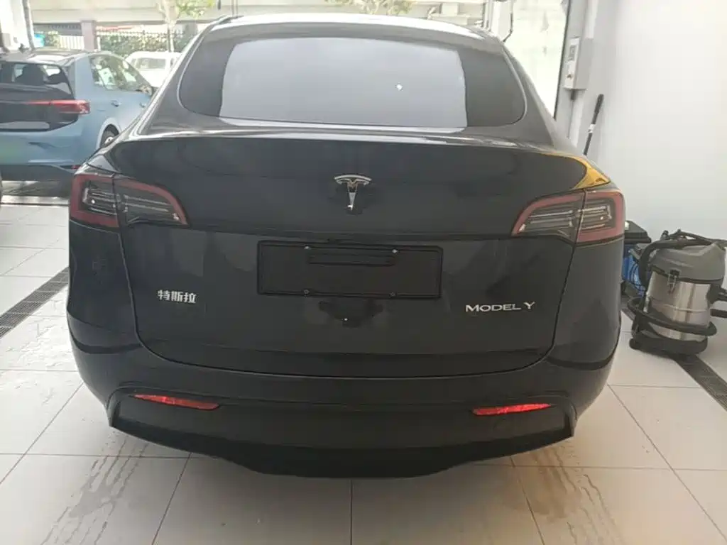 Tesla Model Y — миниатюра 6
