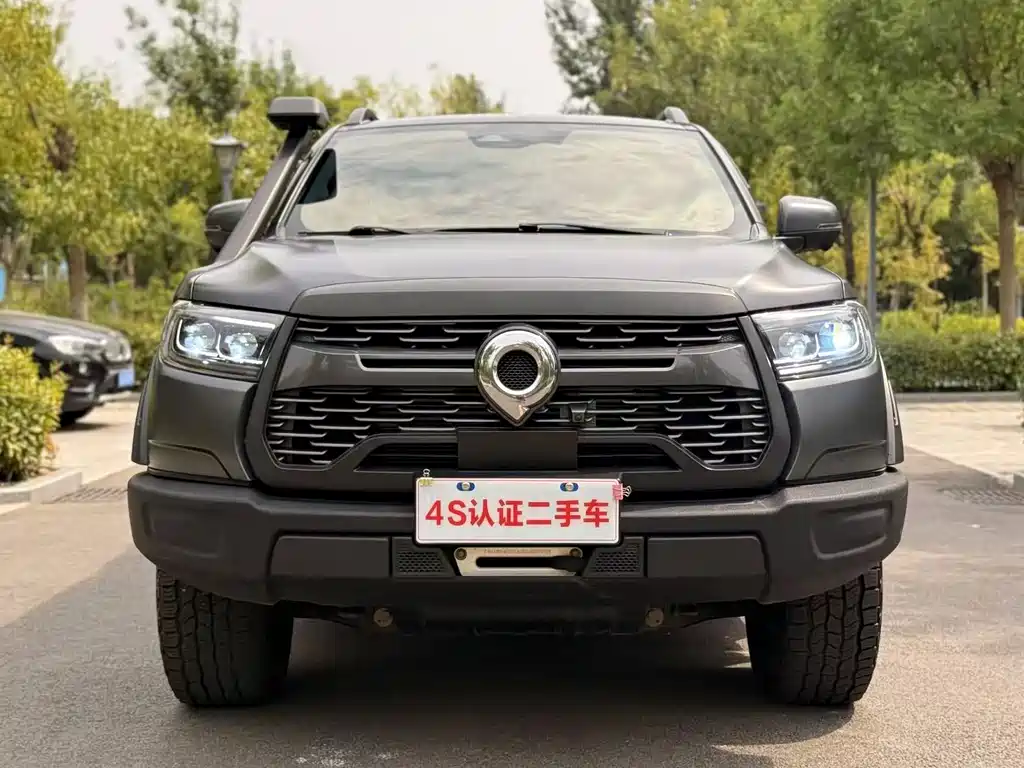 Great Wall Pao — миниатюра 2