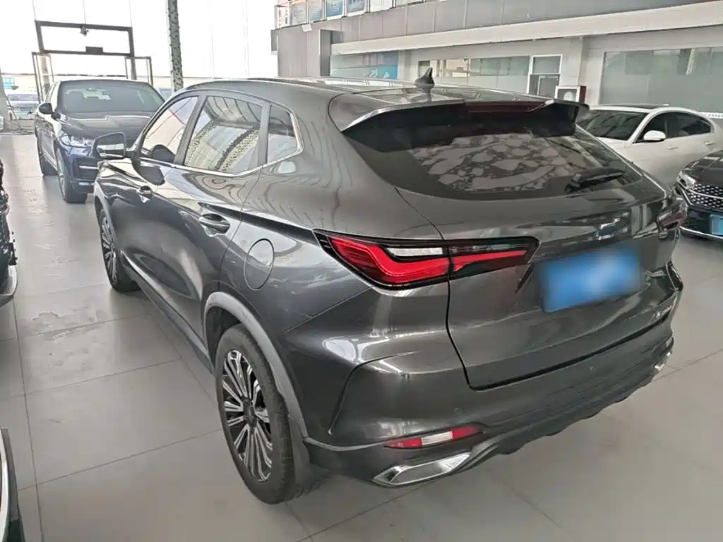 Oshan Oushang X5 — миниатюра 5