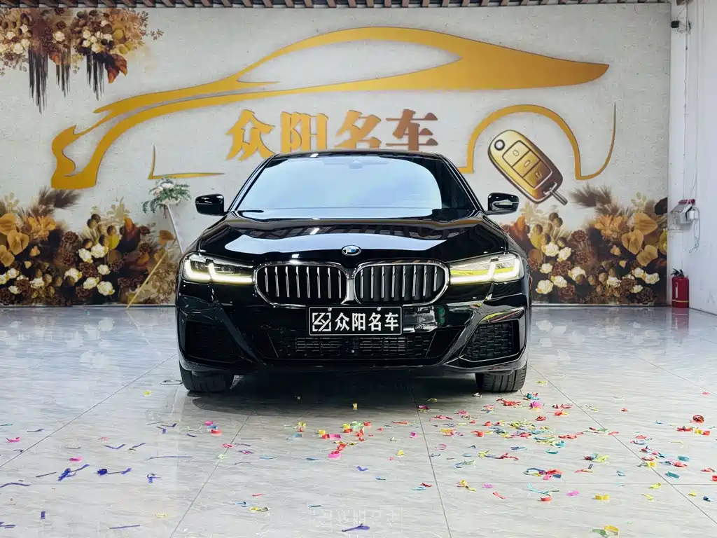 BMW 5 Series — миниатюра 2