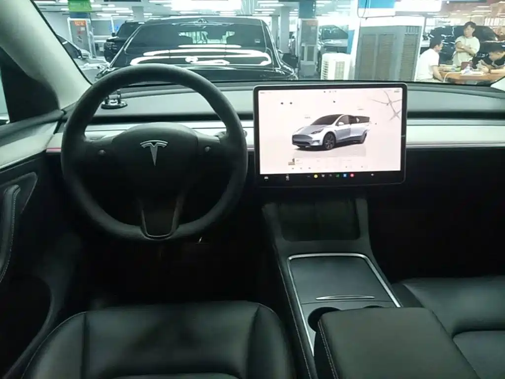 Tesla Model Y — миниатюра 11