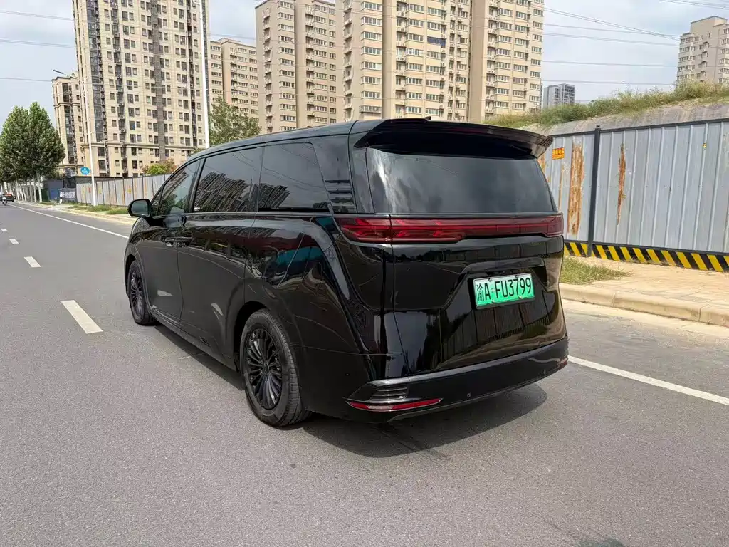 Denza Denza D9 — миниатюра 6