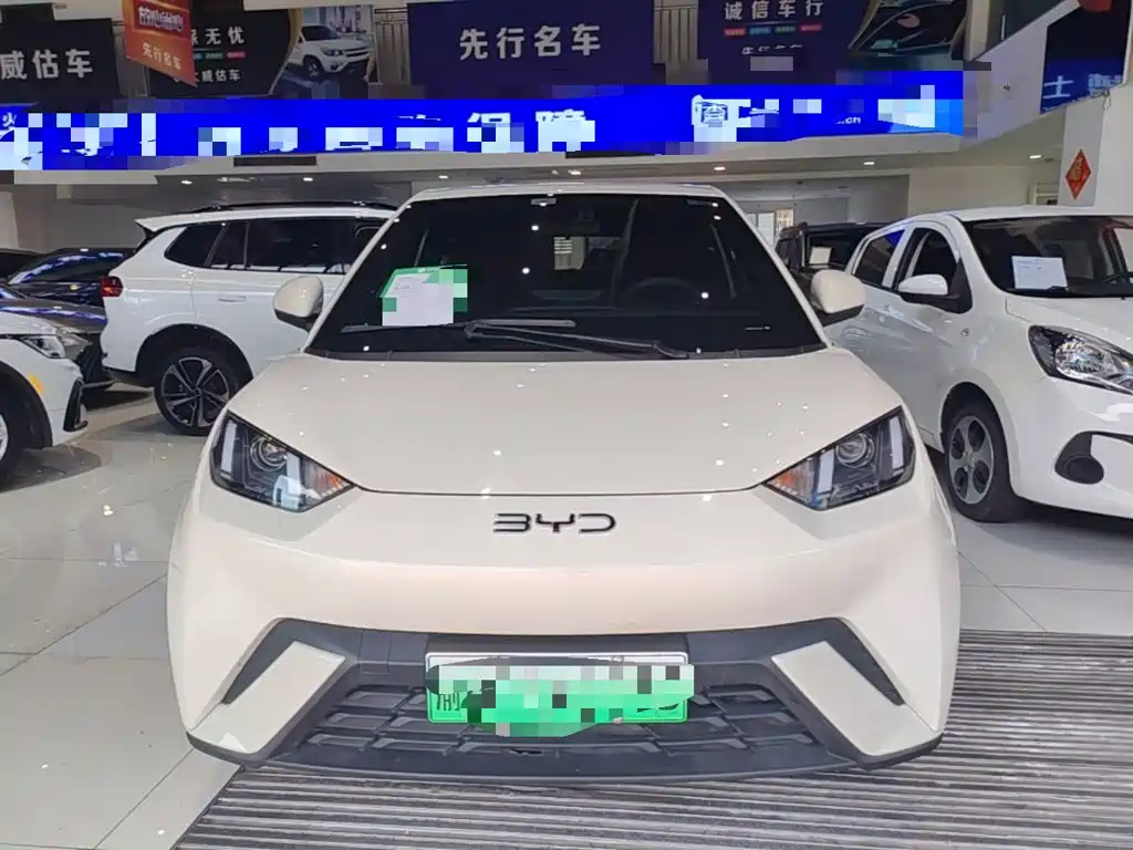 BYD Seagull 2025 305km