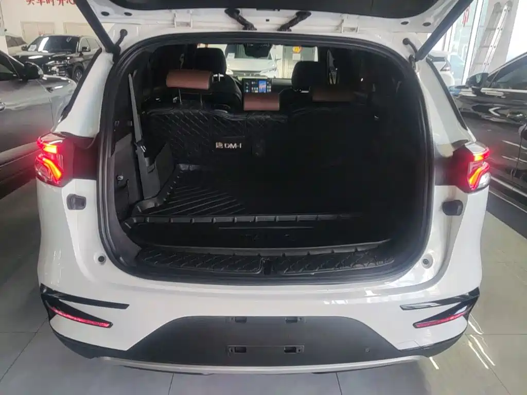 BYD Tang New Energy — миниатюра 19