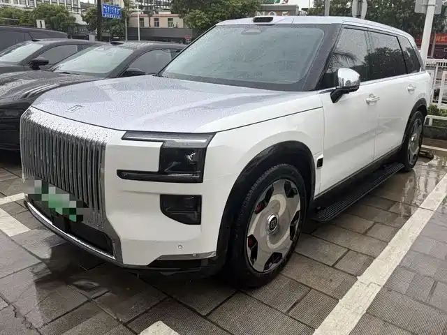 2026 Zeekr 009
