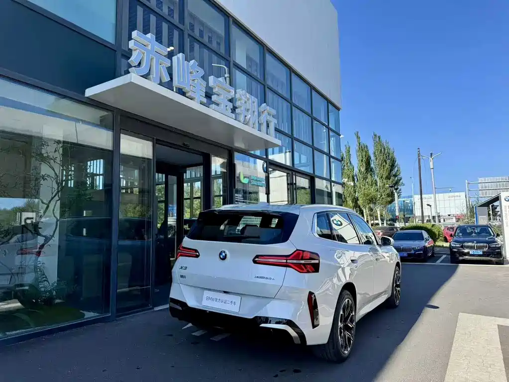 BMW X3 — миниатюра 6