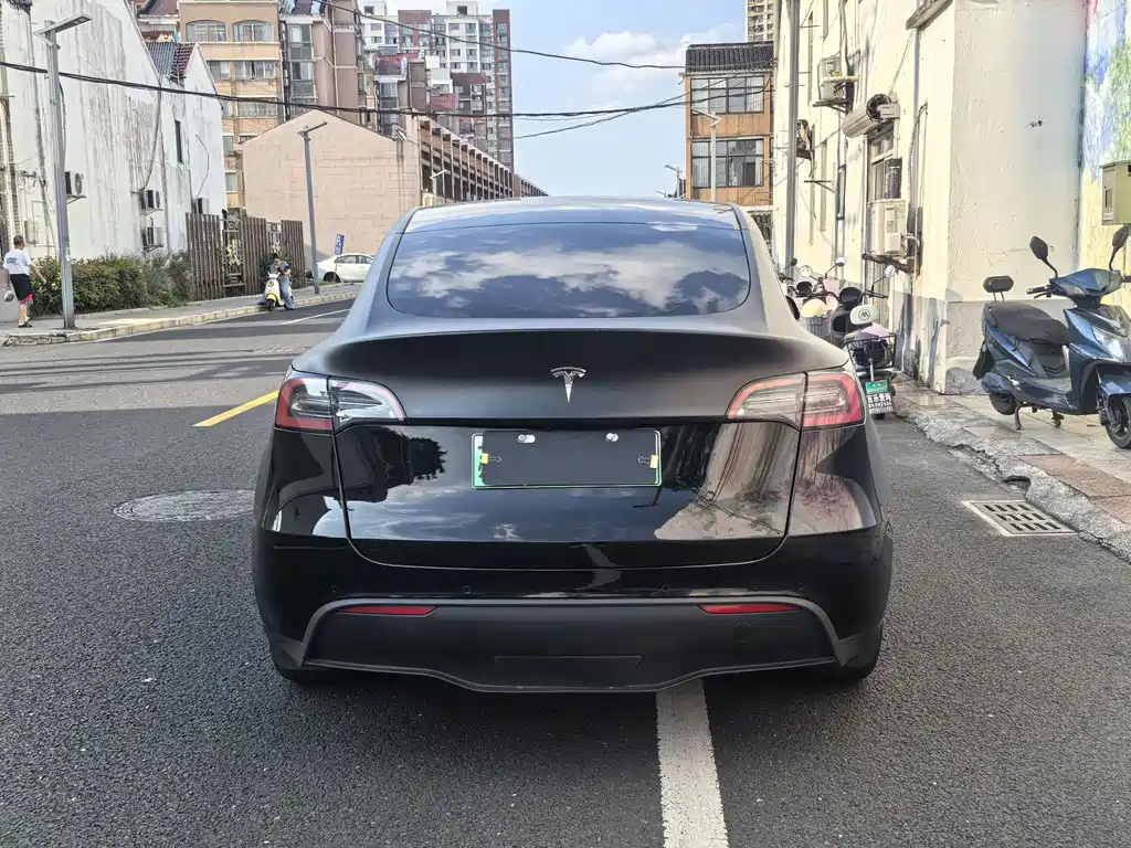 Tesla Model Y — миниатюра 11