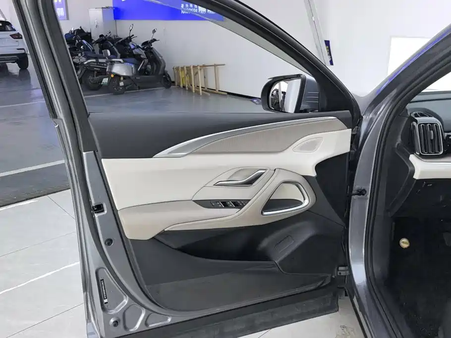 BYD Pro New Energy — миниатюра 7