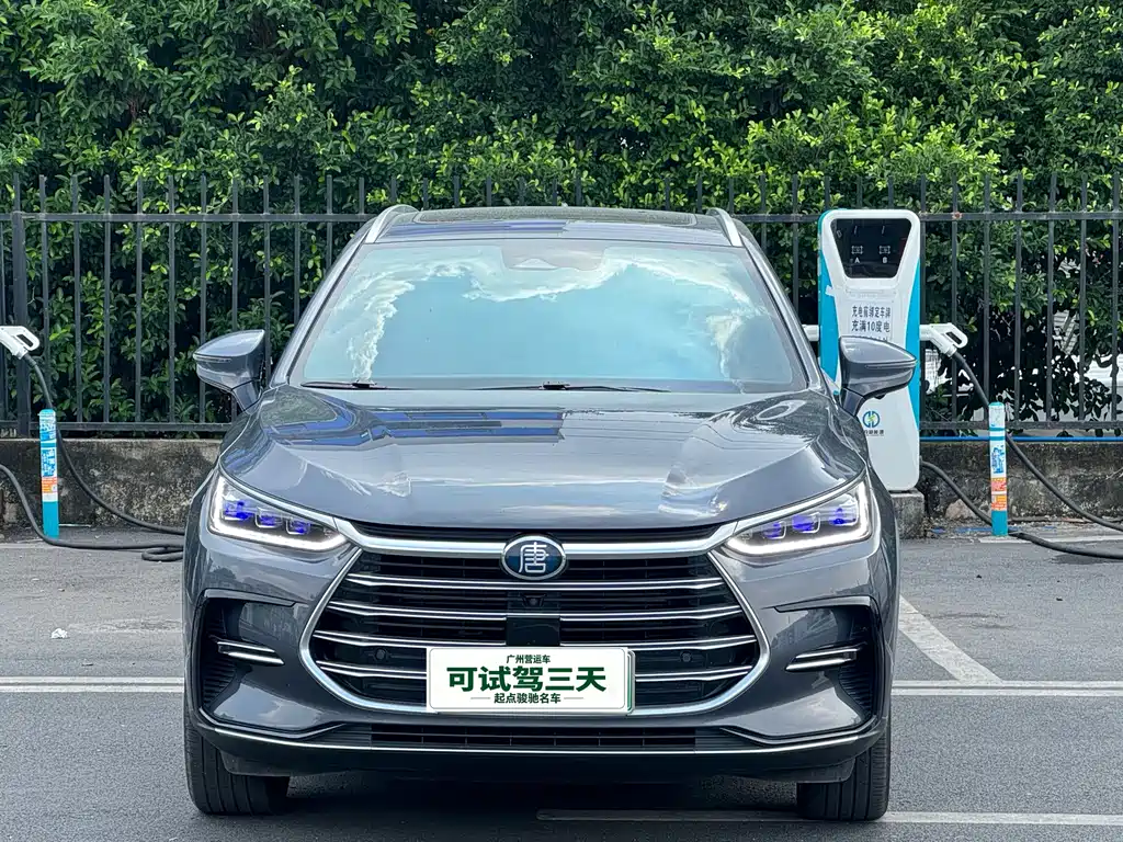 BYD Tang New Energy — миниатюра 2