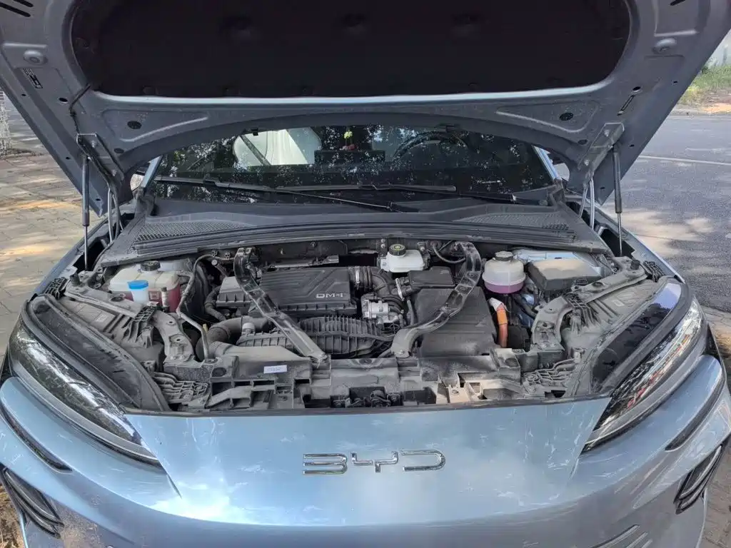 BYD PLUS New Energy — миниатюра 11