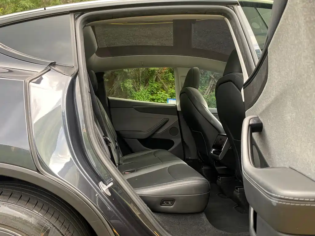 Tesla Model Y — миниатюра 15