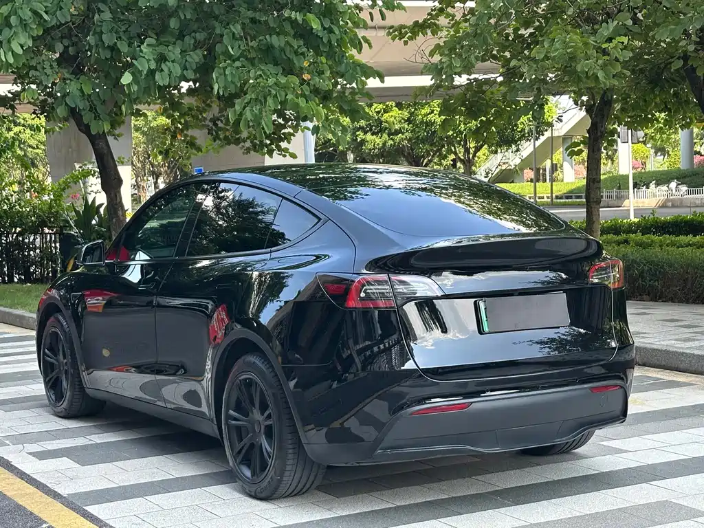 Tesla Model Y — миниатюра 10